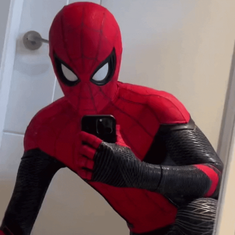 SPIDER-MAN — The Webbed Sentinel Suit