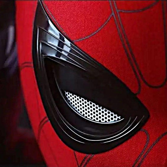 SPIDER-MAN — The Webbed Sentinel Mask